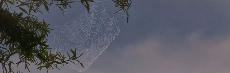 scott_seeley_create_detail